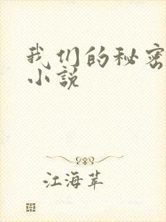 我们的秘密泰剧小说
