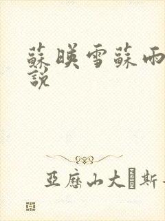 苏映雪苏雨柔小说