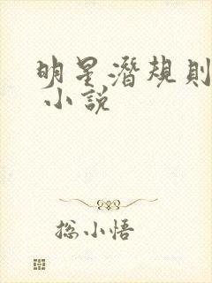 明星潜规则之皇 小说