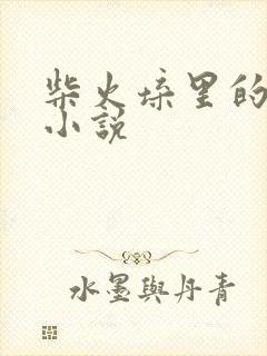 柴火垛里的疯狂小说