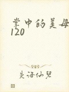 掌中的美母版主120