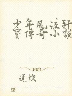 少年风流轩辕大宝传奇小说