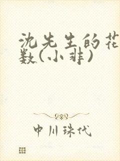 沈先生的花式调数(小非)