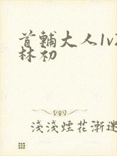 首辅大人1v2林初