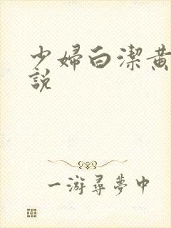 少妇白洁黄色小说