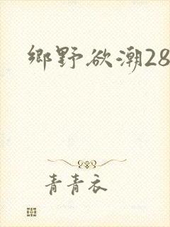 乡野欲潮28章