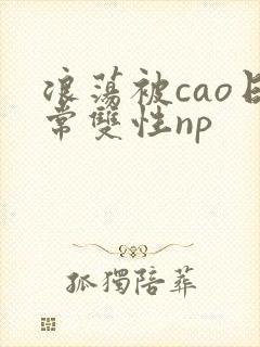 浪荡被cao日常双性np