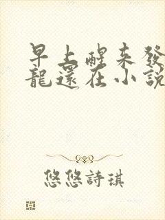 早上醒来发现巨龙还在小说