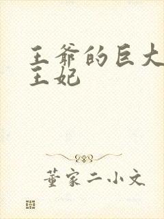 王爷的巨大进入王妃