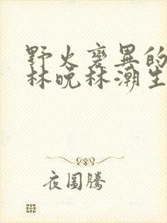 野火变异的父爱林晚林潮生
