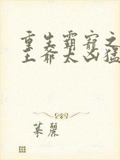 重生霸宠之摄政王爷太凶猛