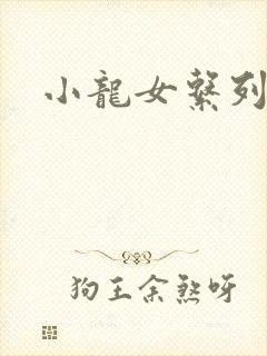 小龙女系列小说