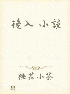 后入 小说