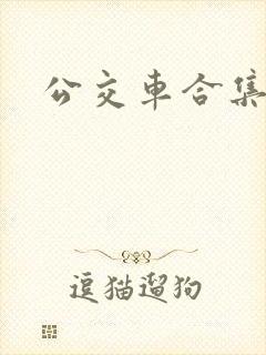 公交车合集