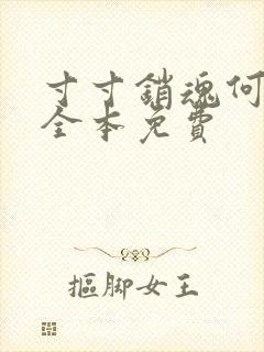 寸寸销魂何生祥全本免费