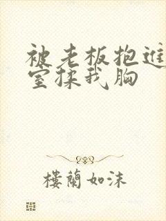 被老板抱进办公室揉我胸