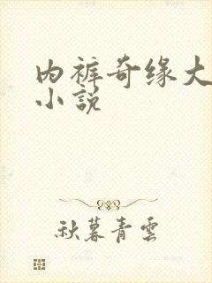 内裤奇缘大团结小说