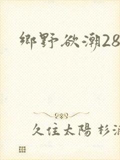 乡野欲潮28章