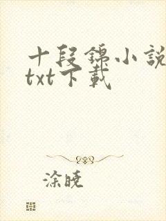 十段锦小说全本txt下载