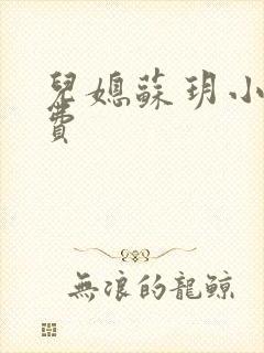 儿媳苏玥小说免费