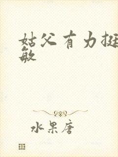 姑父有力挺送赵敏