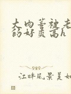 大肉蒂被老头嘬的好爽高h