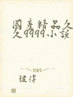 国产精品久久久久9999小说