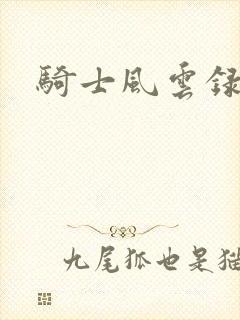 骑士风云录