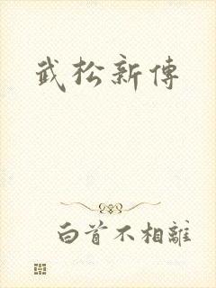 武松新传
