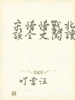 宋惜惜战北望小说全文阅读