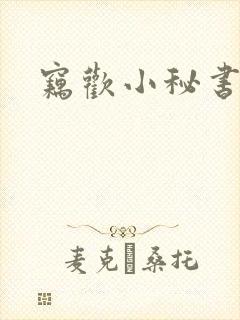 窃欢小秘书