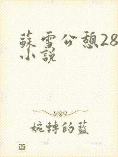 苏雪公憩28篇小说
