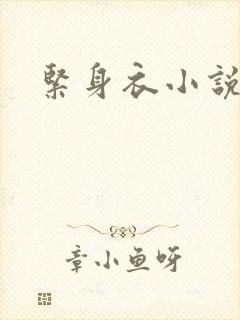紧身衣小说