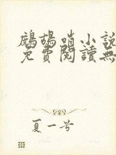 鹧鸪哨小说网站免费阅读无弹窗