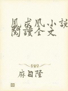 凤求凰小说免费阅读全文