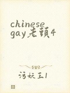 chinesegay老头4