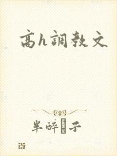 高h调教文