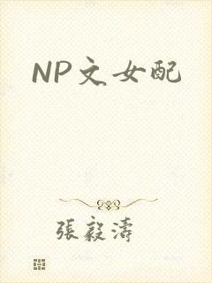 NP文女配
