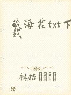 藏海花txt下载