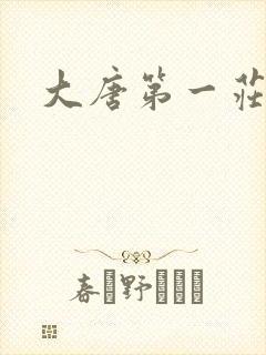 大唐第一庄