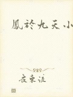 凤于九天小说