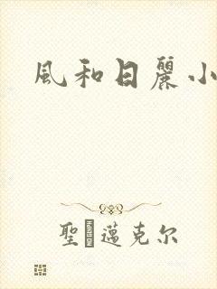 风和日丽小说