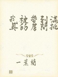 我被带到满是玩具的房间挑调作文