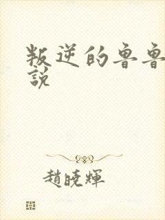 叛逆的鲁鲁修小说