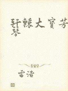 轩辕大宝芳菲雅琴