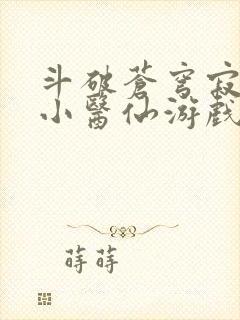 斗破苍穹寂寞的小医仙游戏世界