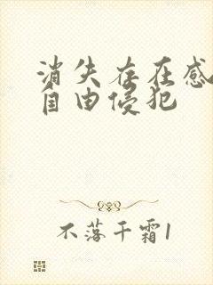 消失存在感消失自由侵犯