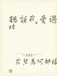 听说我爱过你txt