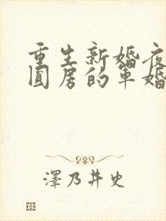 重生新婚夜正在圆房的军婚