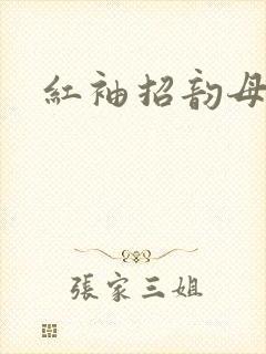 红袖招韵母攻略